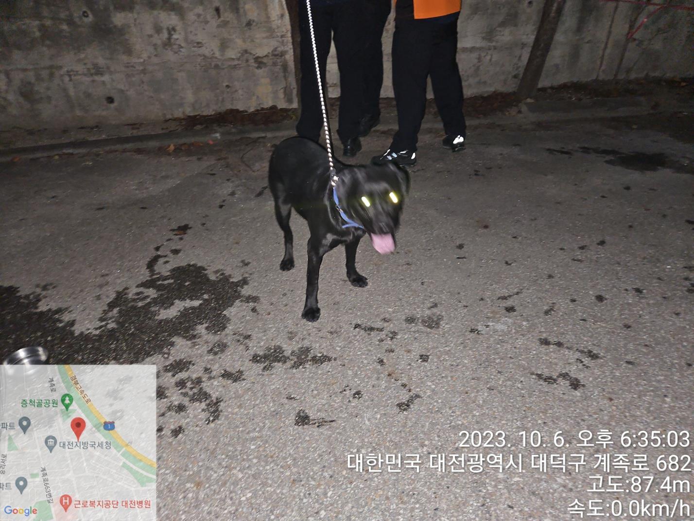 대전동물보호센터_430368202300450